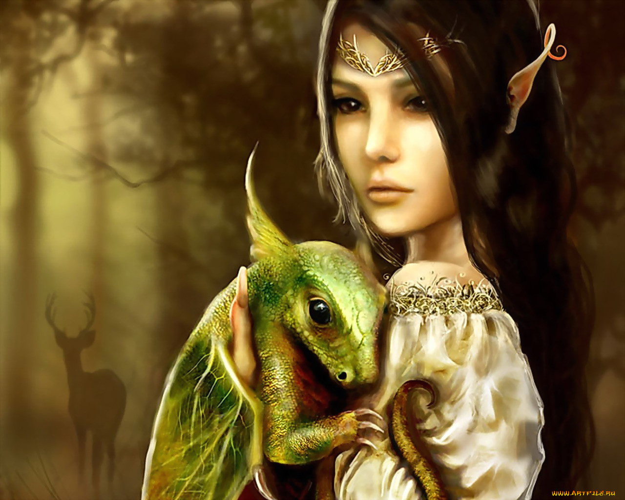 Читать эльфа фэнтези. Девушка и дракон. Фэнтези девушки эльфы. Мифические существа эльфы. Девочка и дракон.